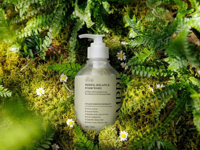 Professional Home Aesthetic